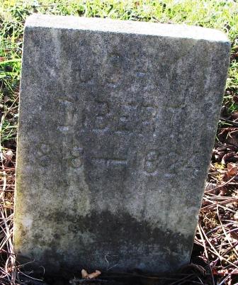 John N Dibert