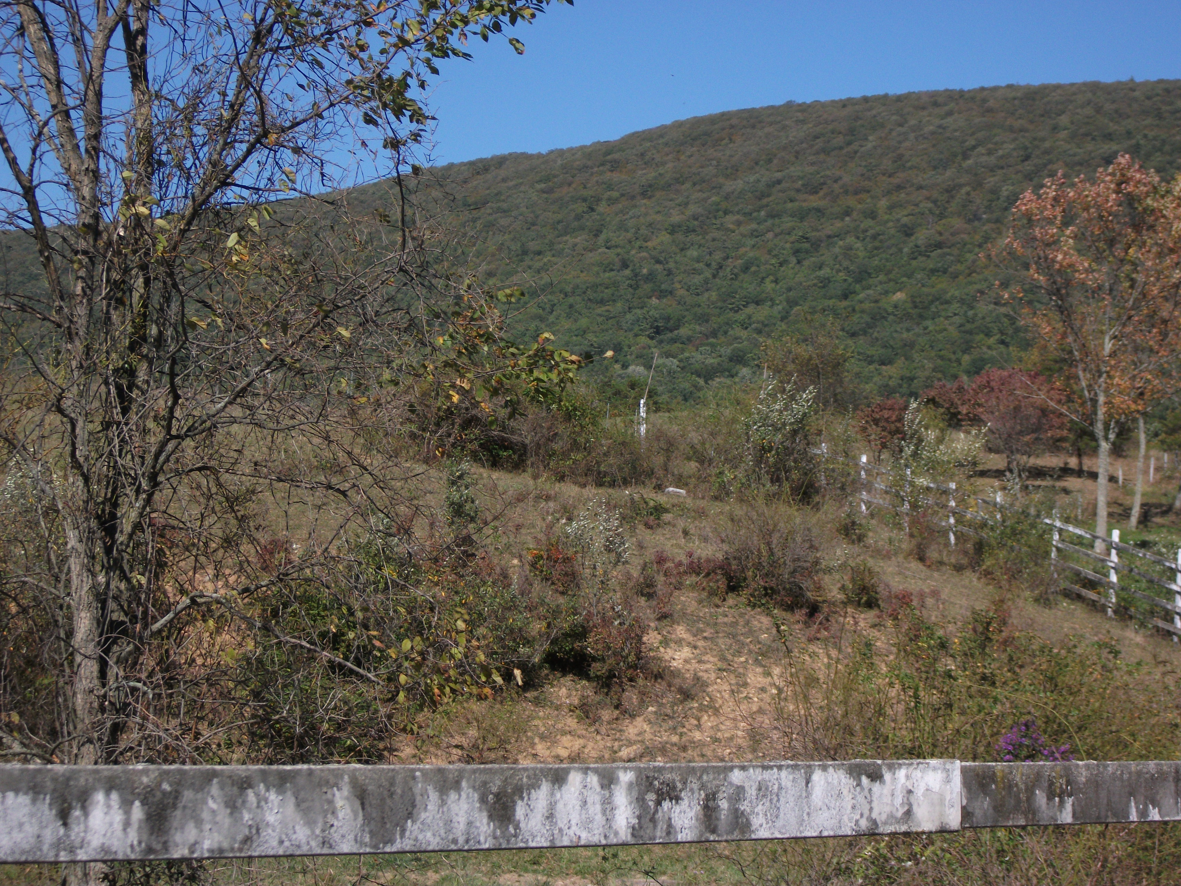 Walter Cemetery